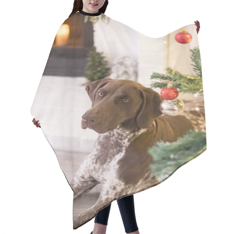 Personality  Dog Laying Under The Christmas Tree Hair Cutting Cape