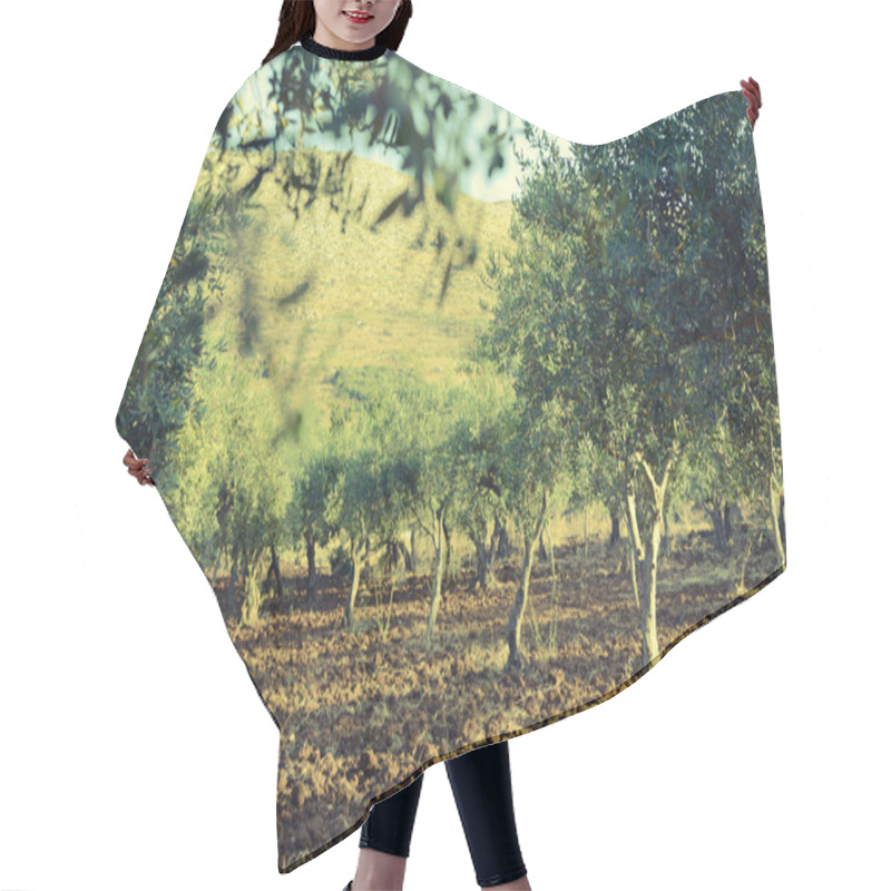 Personality  Olive Trees Garden Hair Cutting Cape