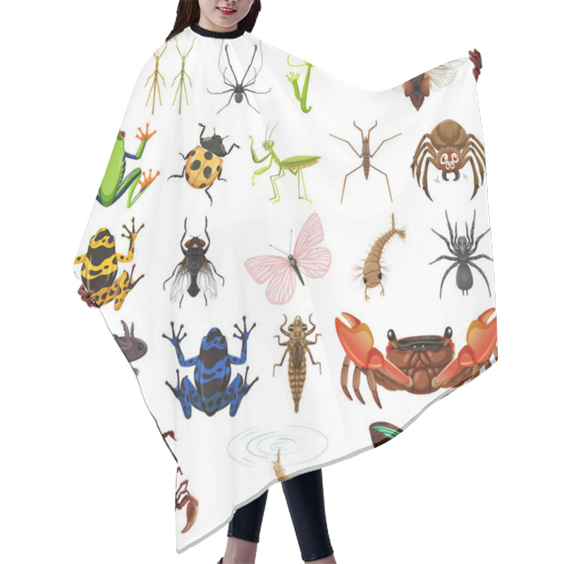 Personality  Different Kinds Of Insects And Animals On White Background Illustration Hair Cutting Cape