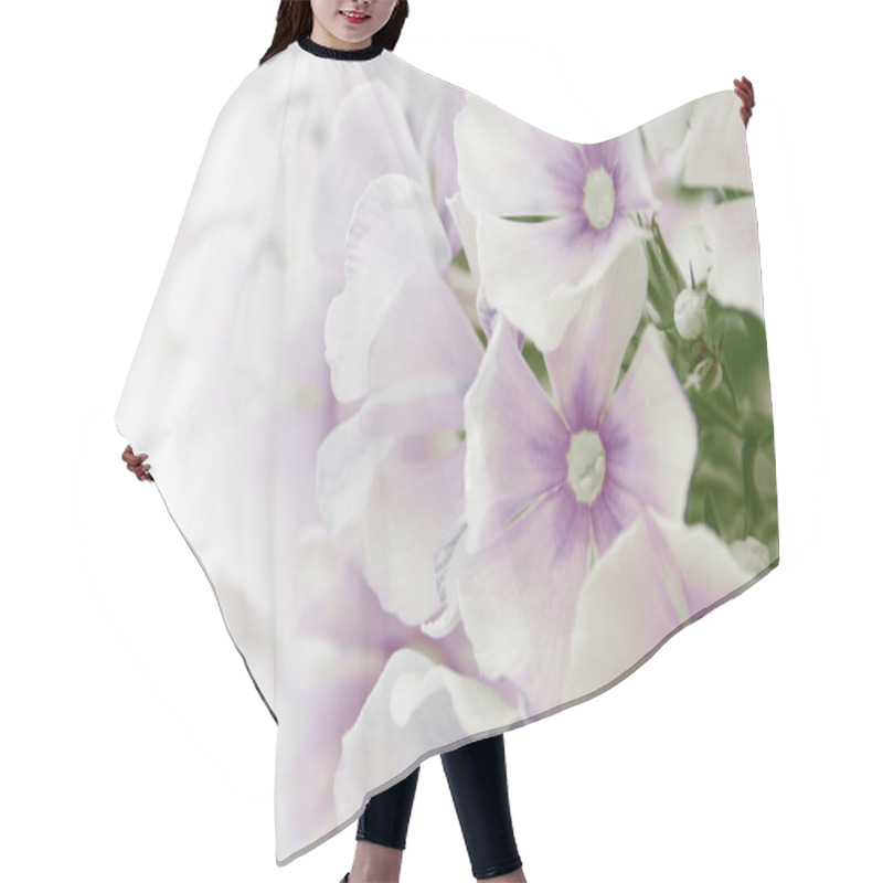 Personality  Phlox Flower Hair Cutting Cape