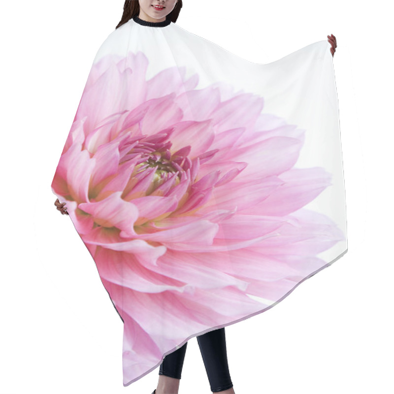 Personality  Pink Dahlia, Flower Hair Cutting Cape