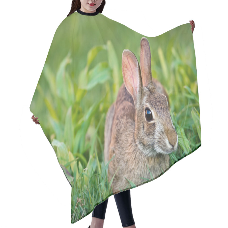 Personality  Cottontail Bunny Rabbit Eating Grass Hair Cutting Cape