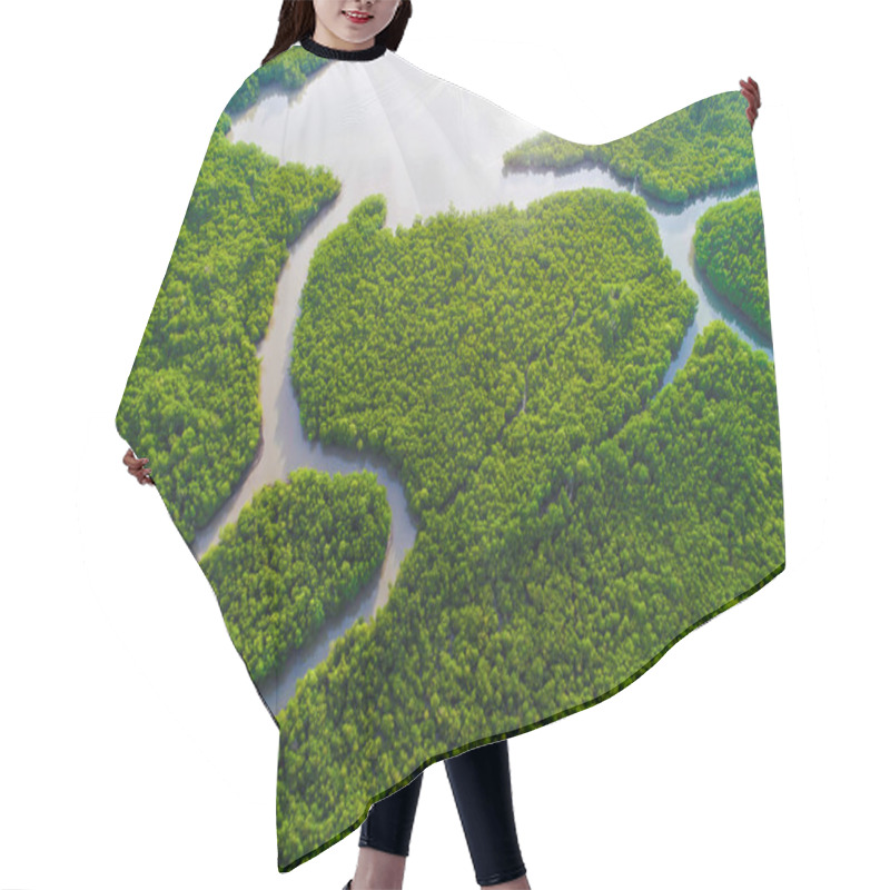 Personality  Green Deep Mangrove Forest Sea Bay Morning Sunrise Eco Nature Sy Hair Cutting Cape