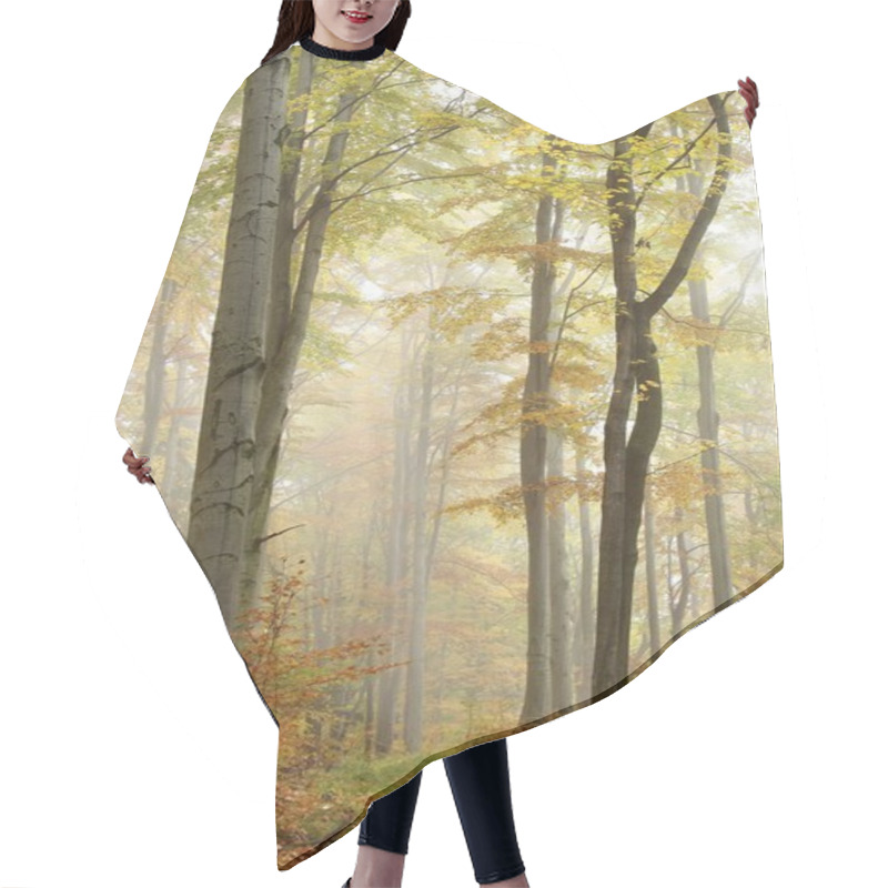 Personality  Trail In Autumn Beech Forest Hair Cutting Cape