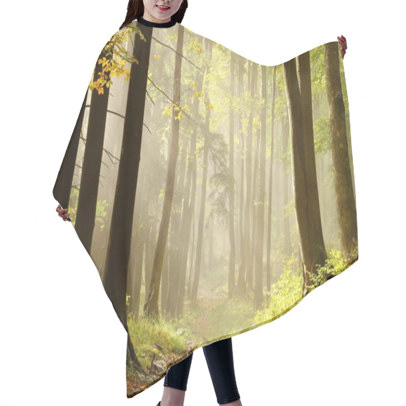 Personality  Autumn Path In The Woods Hair Cutting Cape