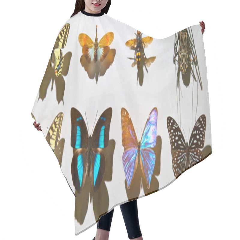 Personality  Butterfly Hair Cutting Cape