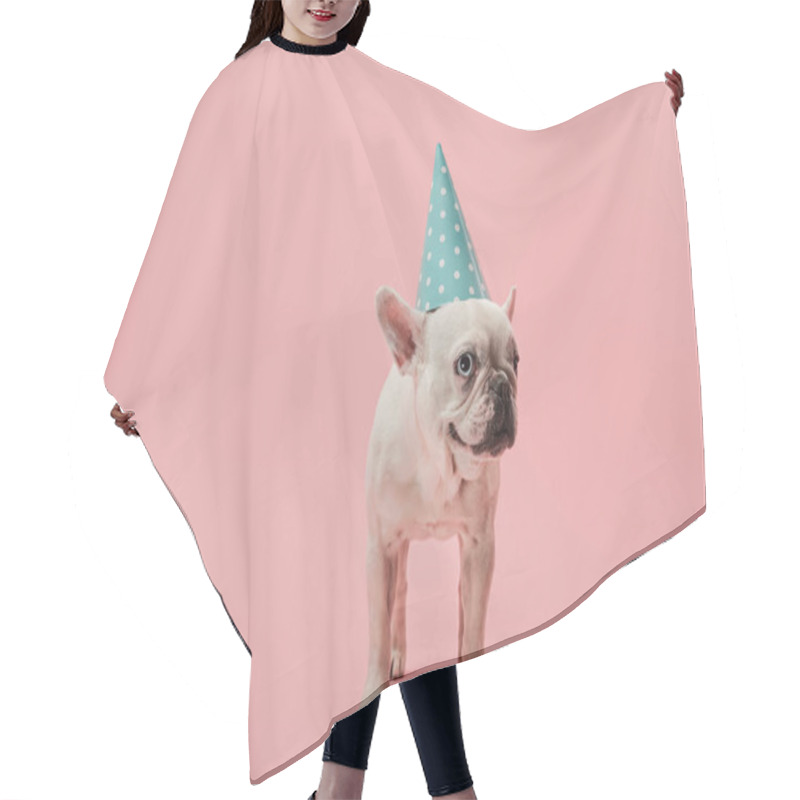 Personality  French Bulldog In Blue Birthday Cap On Pink Background Hair Cutting Cape