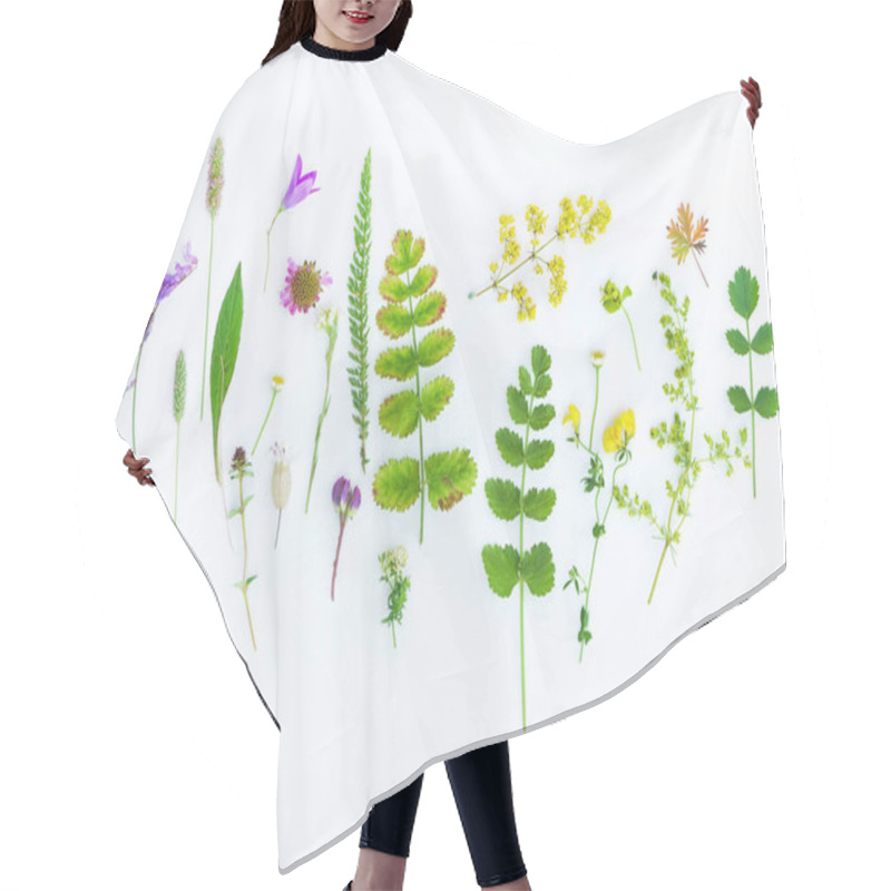 Personality  Natural Composition. Plants On White Background Hair Cutting Cape