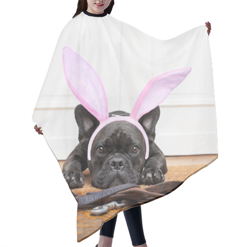 Personality  Dog For A Walk  Hair Cutting Cape