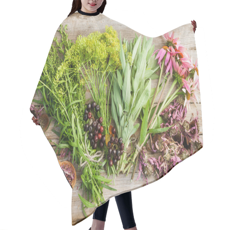 Personality  Bunches Of Healing Herbs And Coneflowers On Wooden Plank,top Vie Hair Cutting Cape