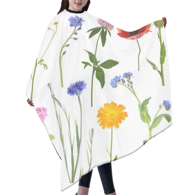 Personality  Many Different Meadow Flowers Isolated On White, Set Hair Cutting Cape