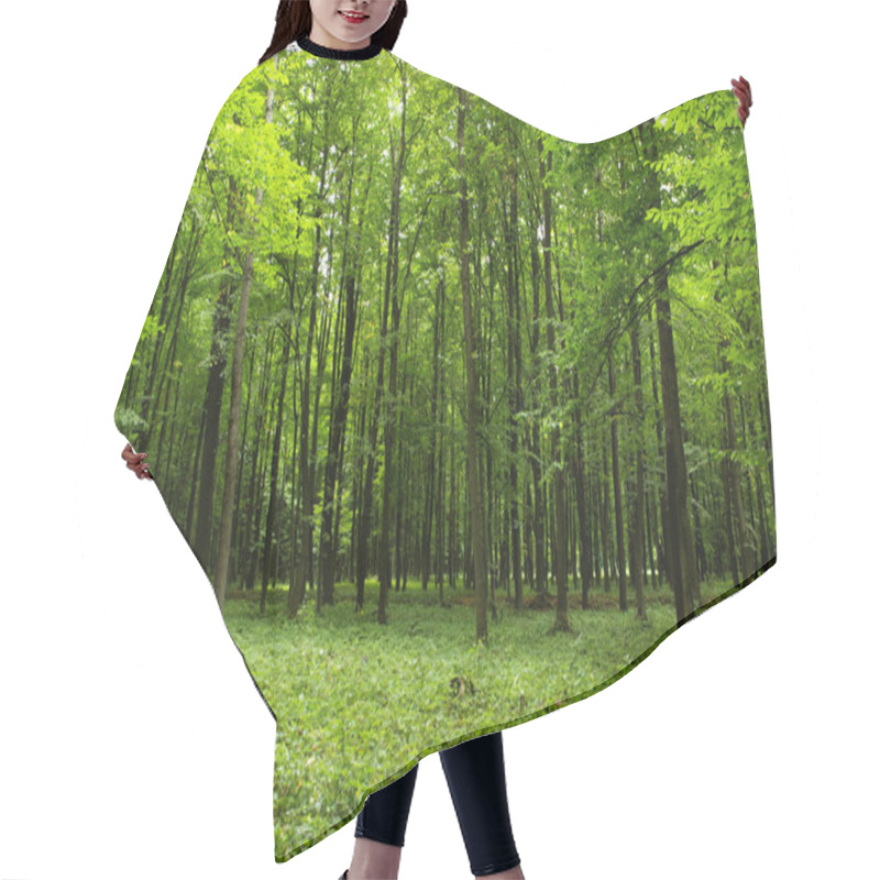 Personality  Forest Hair Cutting Cape