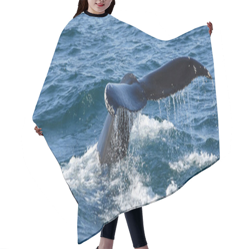 Personality  Sea Lion In The Ocean Hair Cutting Cape