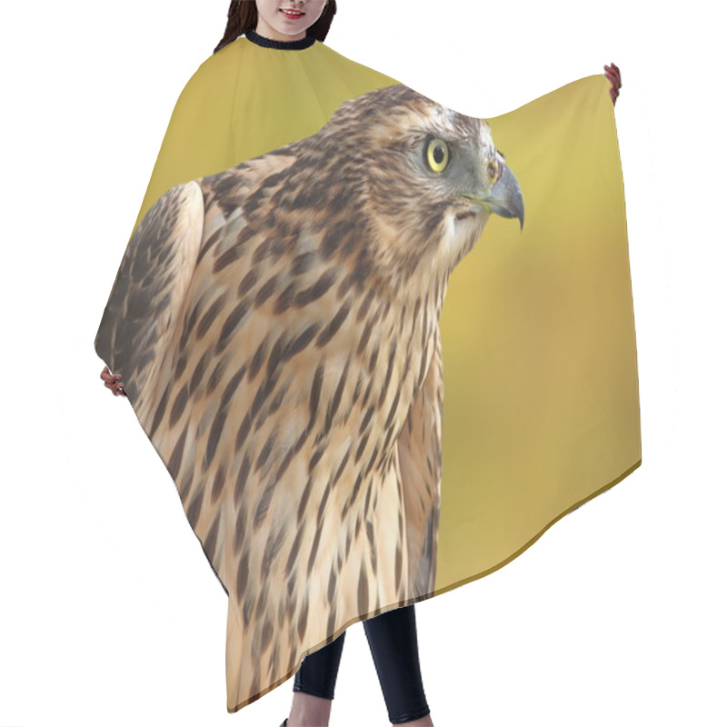 Personality  Accipiter Nisus Over Out Of Focus Background Hair Cutting Cape