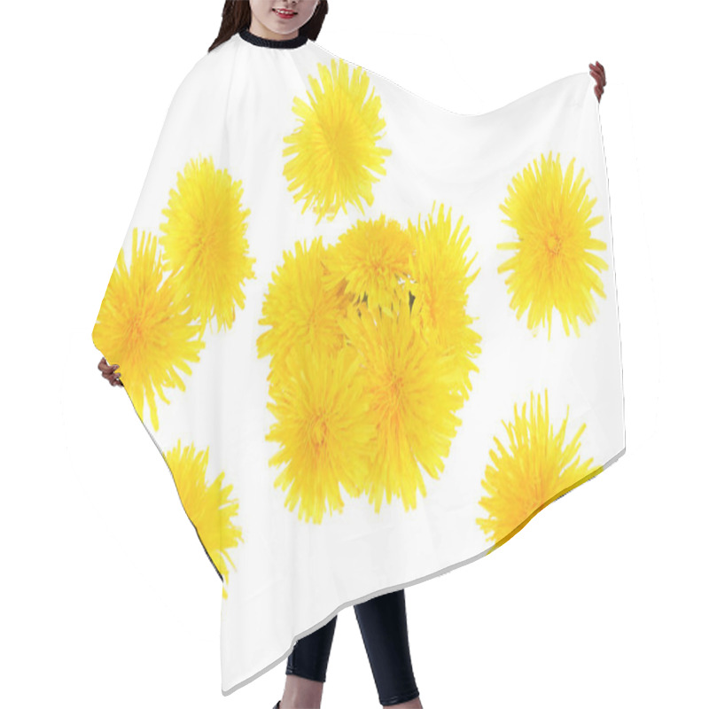 Personality  The Leaves And Flowers Of Dandelion Isolated On White Background Hair Cutting Cape