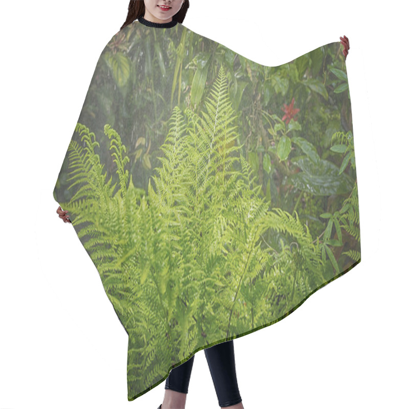 Personality  Rain In Forest Jungle Hair Cutting Cape