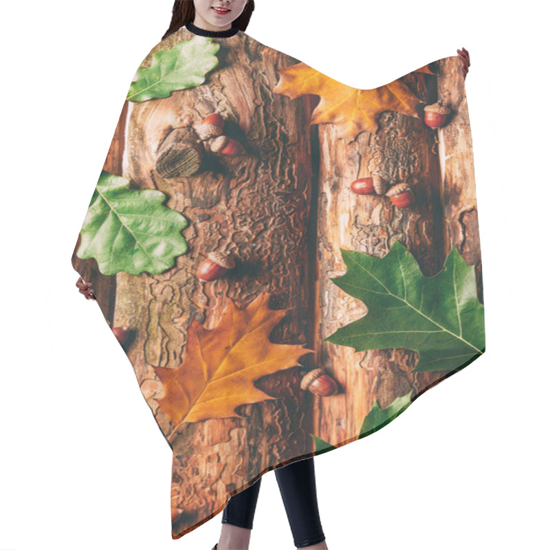 Personality  Flat Lay With Acorns And Fallen Oak Leaves On Wooden Background Hair Cutting Cape