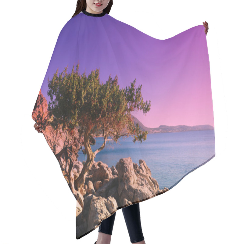 Personality  Sunset Hair Cutting Cape