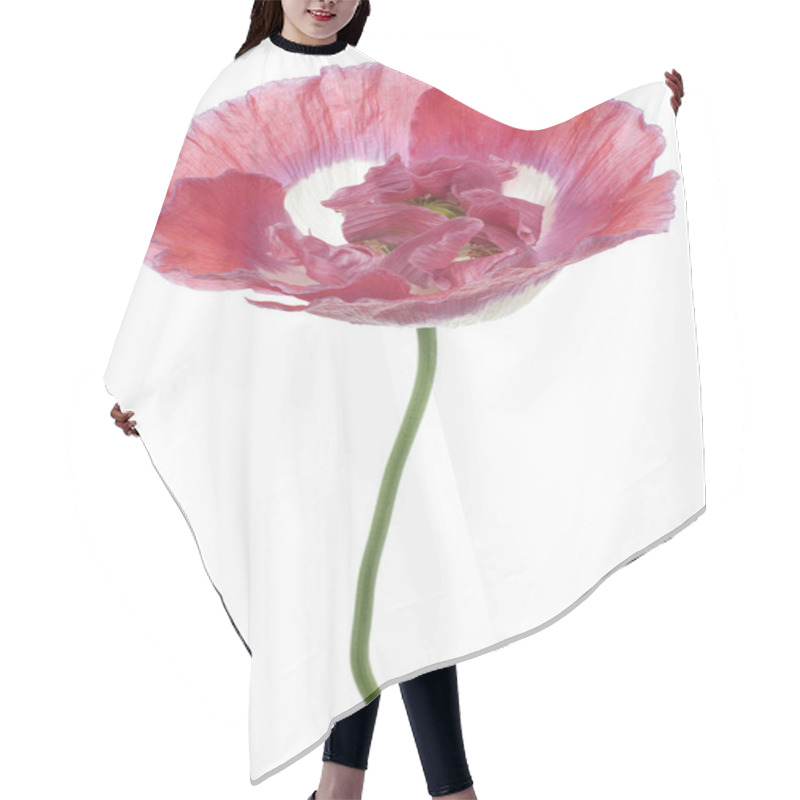 Personality  Poppy Hair Cutting Cape