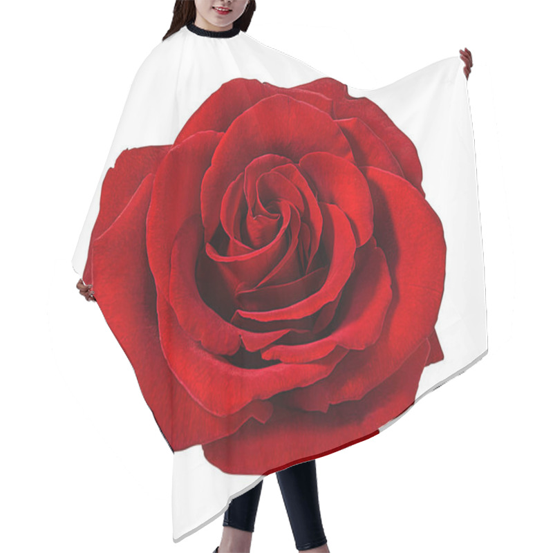 Personality  Rose Isolated On White Background Hair Cutting Cape