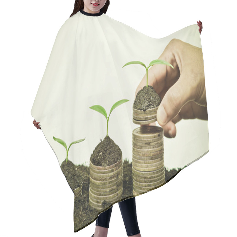 Personality  Hand Holding Stack Of Golden Coins With Young Green Trees Hair Cutting Cape