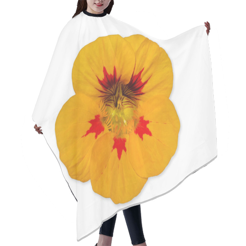 Personality  Yellow Nasturtium Flower Hair Cutting Cape