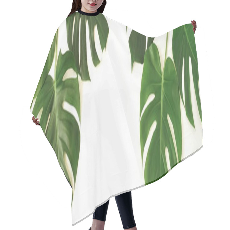 Personality  Banner Tropical Green Monstera Leaves, Branches Pattern Isolated On A White Background. Top View. Copy Space. Poster Hair Cutting Cape