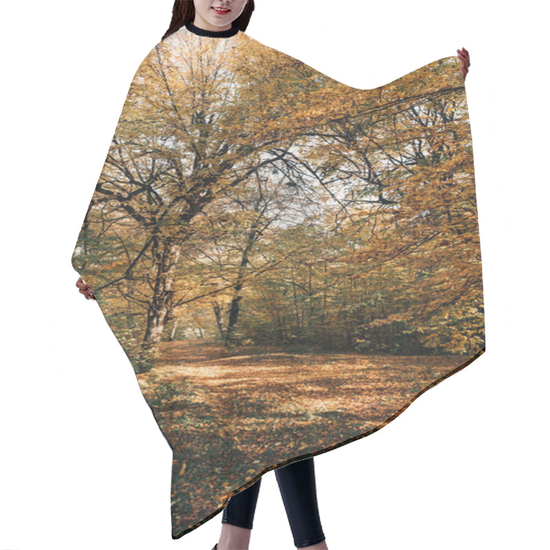 Personality  Autumn Leaves On Tree Twigs In Peaceful Forest Hair Cutting Cape