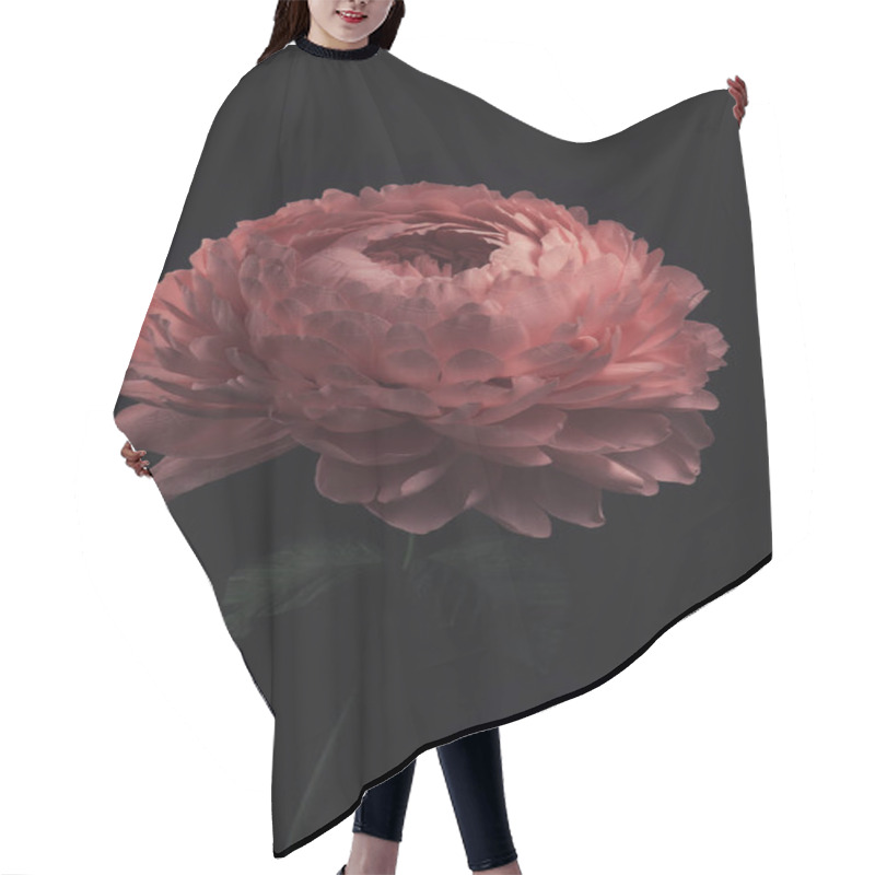 Personality  Large Flowers Made Of Foamiran And Paper On A Dark Background, Hand-made Rosebuds And Peonies, Homemade Compositions And Fire Flowers For Decoration And Design Hair Cutting Cape