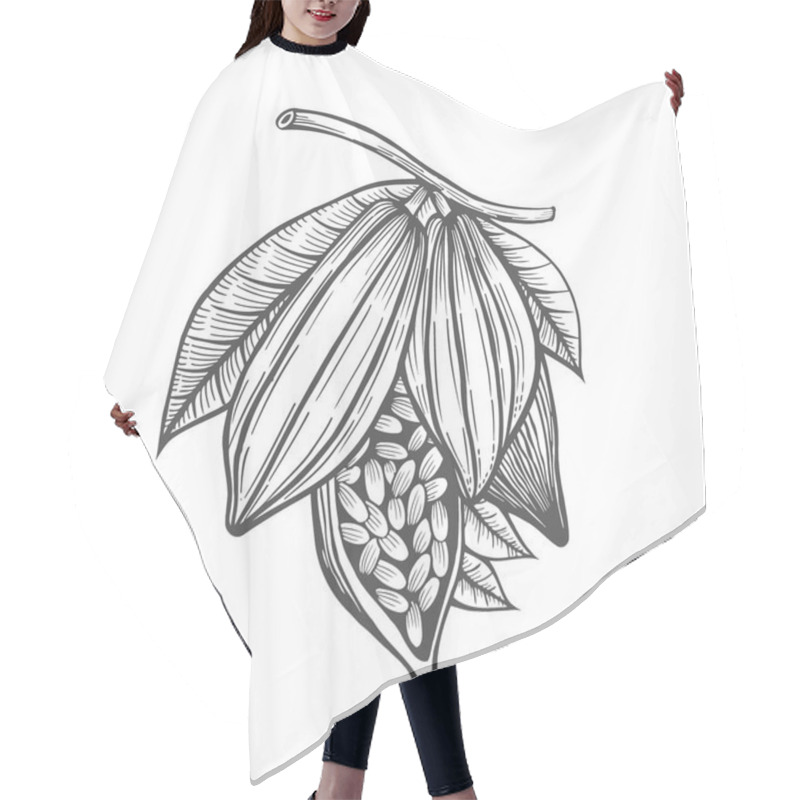 Personality  Cocoa Beans Freehand Drawing, Chocolate Fruit, Vector Illustration, Invigorating Ingredient Cocoa Drink, Vintage Style Hair Cutting Cape