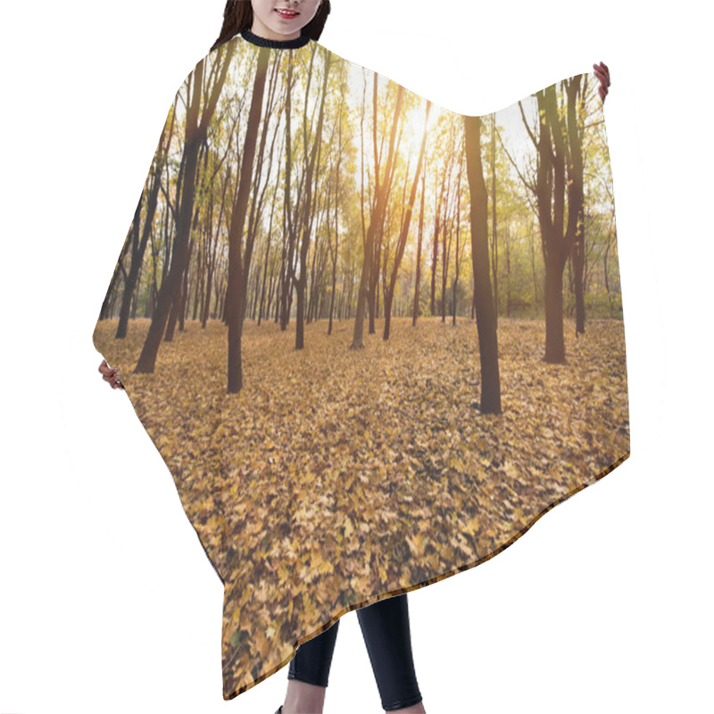 Personality  Autumn Park On Evening Hair Cutting Cape