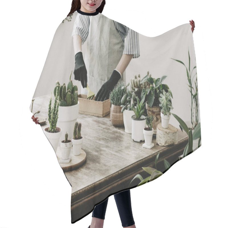 Personality  Close View Of Woman Replanting Succulents In Pots At Home Hair Cutting Cape