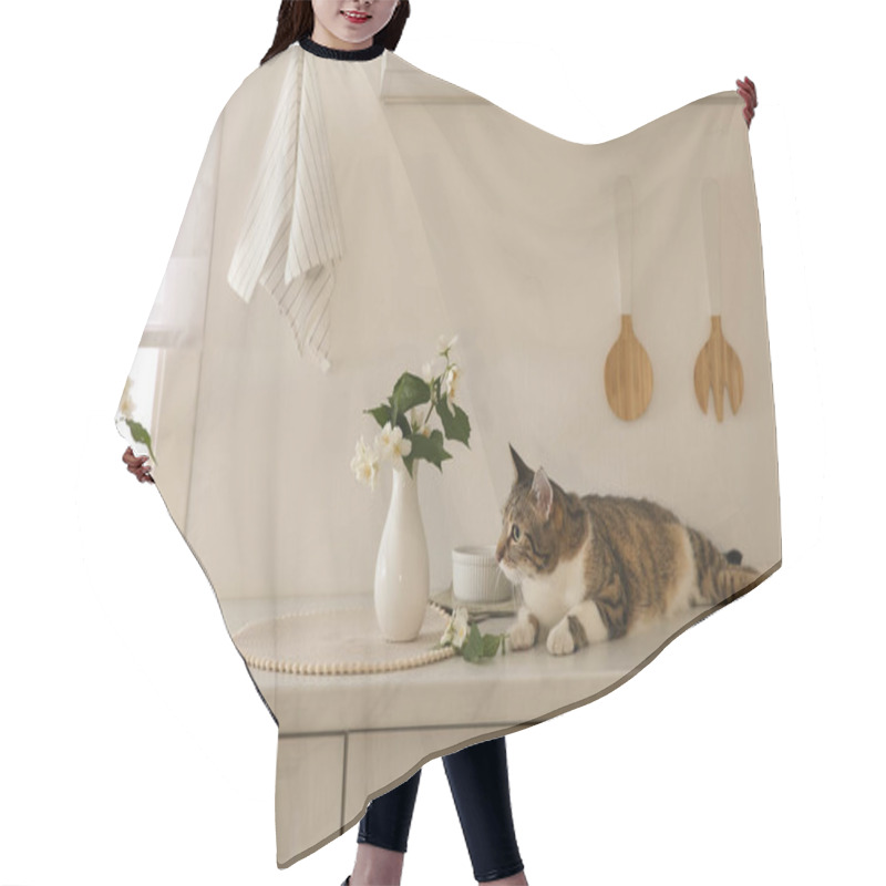 Personality  Cute Cat Near Jasmine Flowers On Countertop In Kitchen Hair Cutting Cape