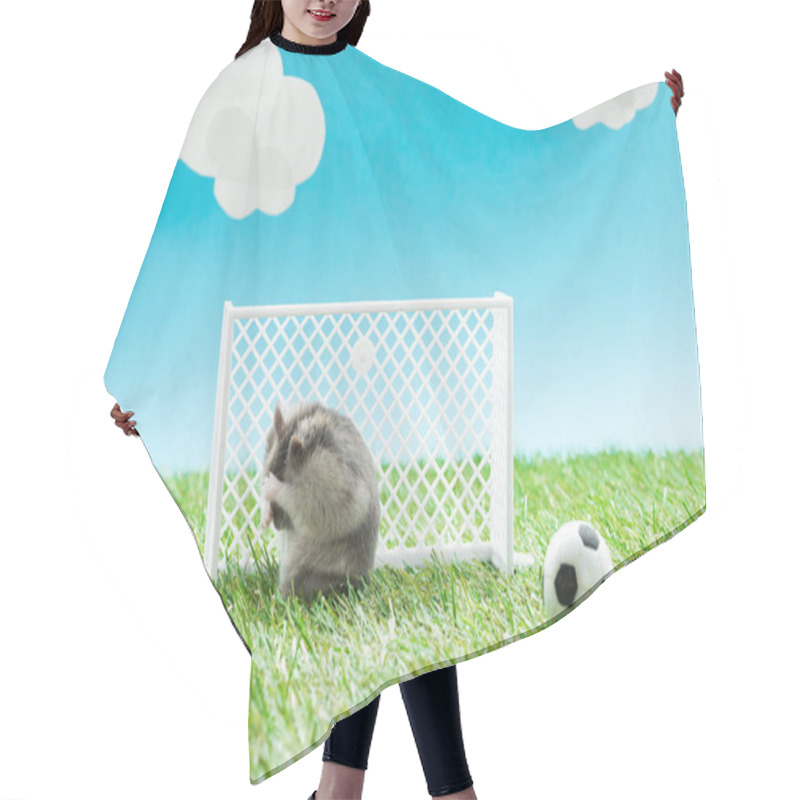 Personality  Furry Hamster Near Toy Soccer Ball And Gates On Green Grass On Blue Background With Clouds, Sports Betting Concept Hair Cutting Cape