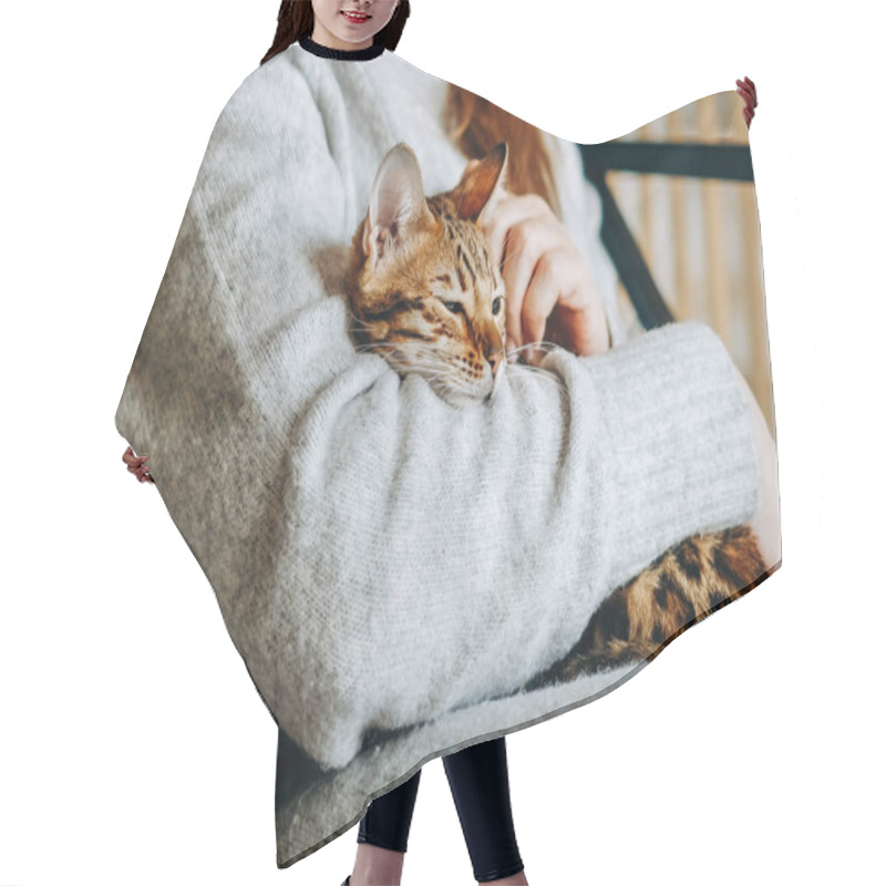 Personality  Love For Cats. A Woman Sits In A Chair At Home And Holds Her Beloved Bengal Cat In Her Arms. A Cozy Evening With Your Beloved Cat In Your Arms. Hair Cutting Cape