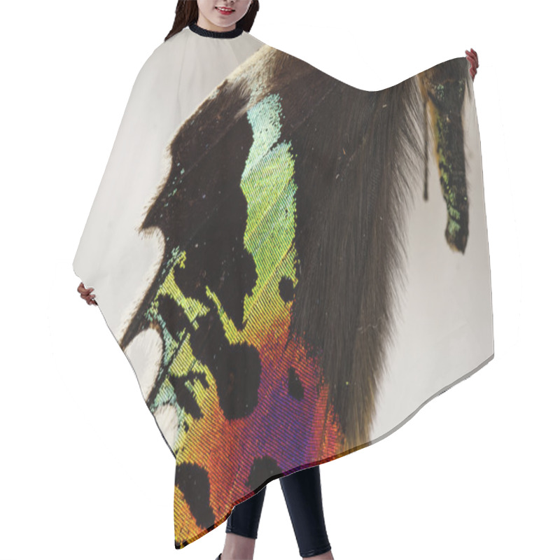 Personality  Butterfly Hair Cutting Cape