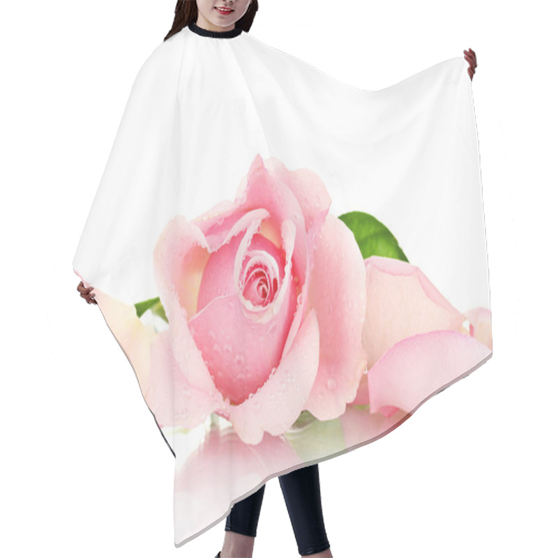 Personality  Pink Rose Isolated On White Hair Cutting Cape