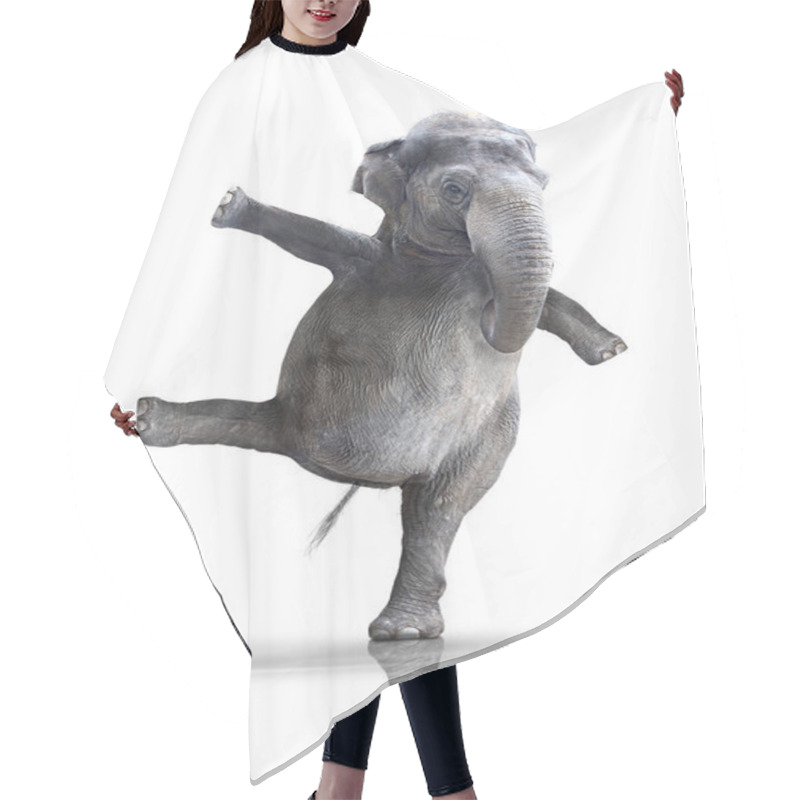 Personality  Elephant,elephant,dance,ballerina,dancer,animals,animals,animal Pictures, Hair Cutting Cape