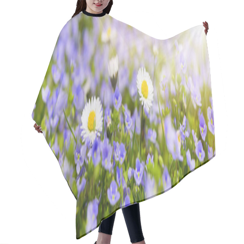 Personality  Wide Angle View To Daisy Flowers At Spring With Sunbeams Hair Cutting Cape