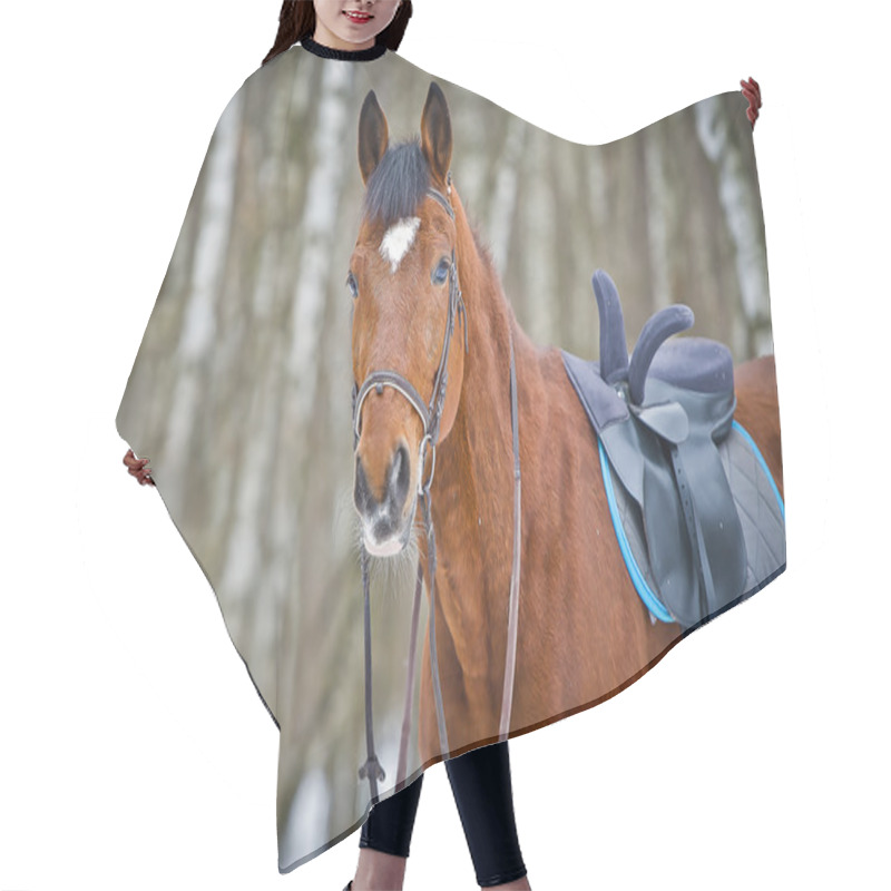 Personality  Chestnut Sidesaddle Horse Without Her Rider Hair Cutting Cape