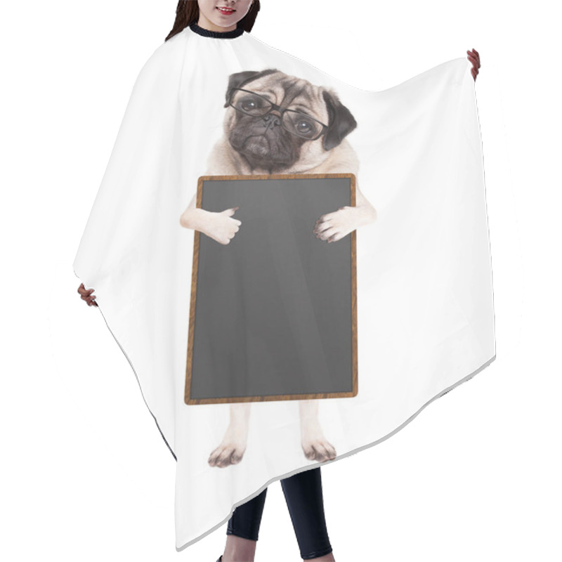 Personality  Cute Pug Puppy Dog With Glasses, Standing Up Holding Blank Blackboard Sign And Giving A Like With Thumb, Isolated On White Background Hair Cutting Cape