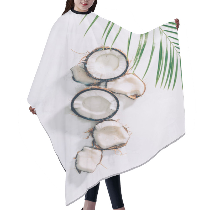 Personality  Top View Of Pieces Of Natural Healthy Coconut And Green Palm Leaves On White  Hair Cutting Cape