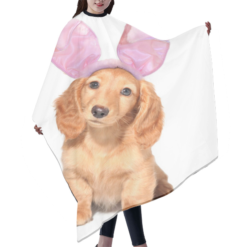 Personality  Easter Bunny Hair Cutting Cape