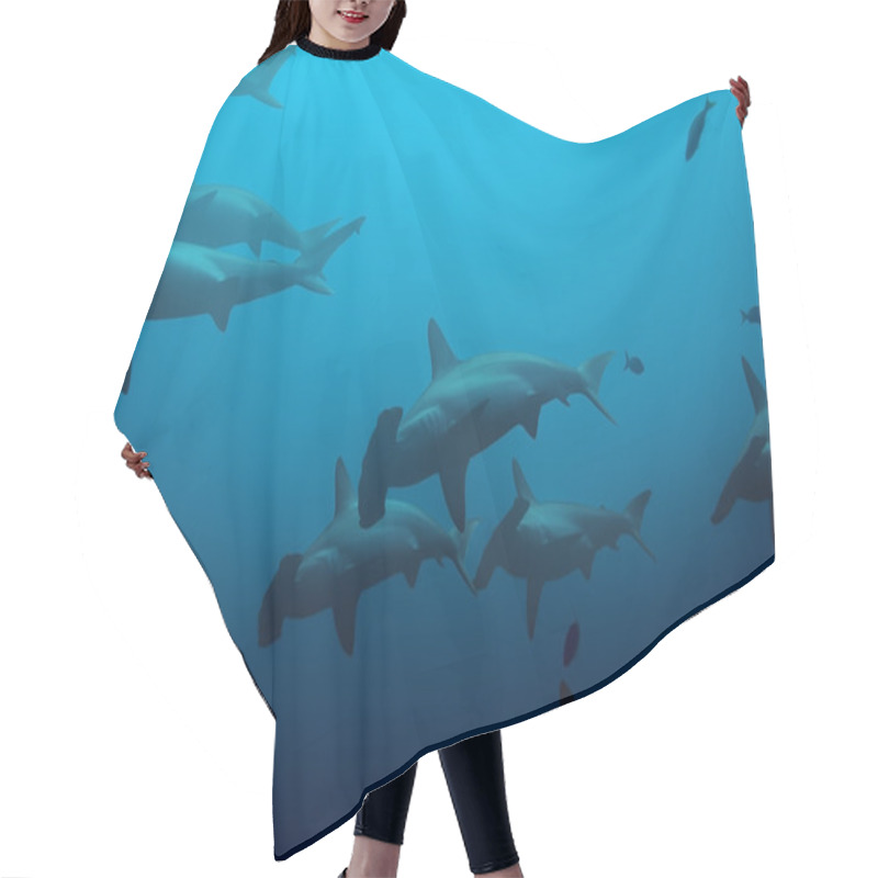 Personality  Large Hammerhead Sharks Hair Cutting Cape