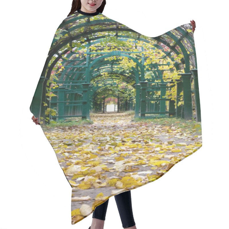 Personality  Autumn Pergola Hair Cutting Cape