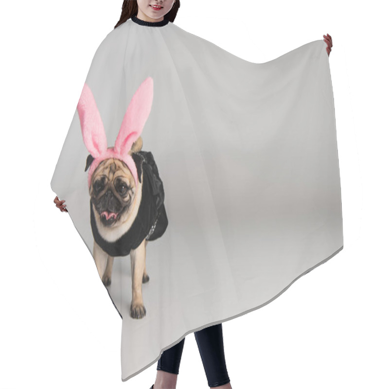 Personality  Cute Pug Dog In Headband With Pink Bunny Ears And Pet Clothes Standing On Grey Background  Hair Cutting Cape