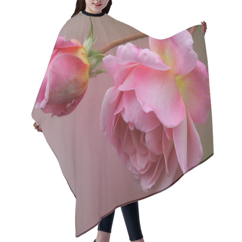 Personality  Pink Rose Hair Cutting Cape