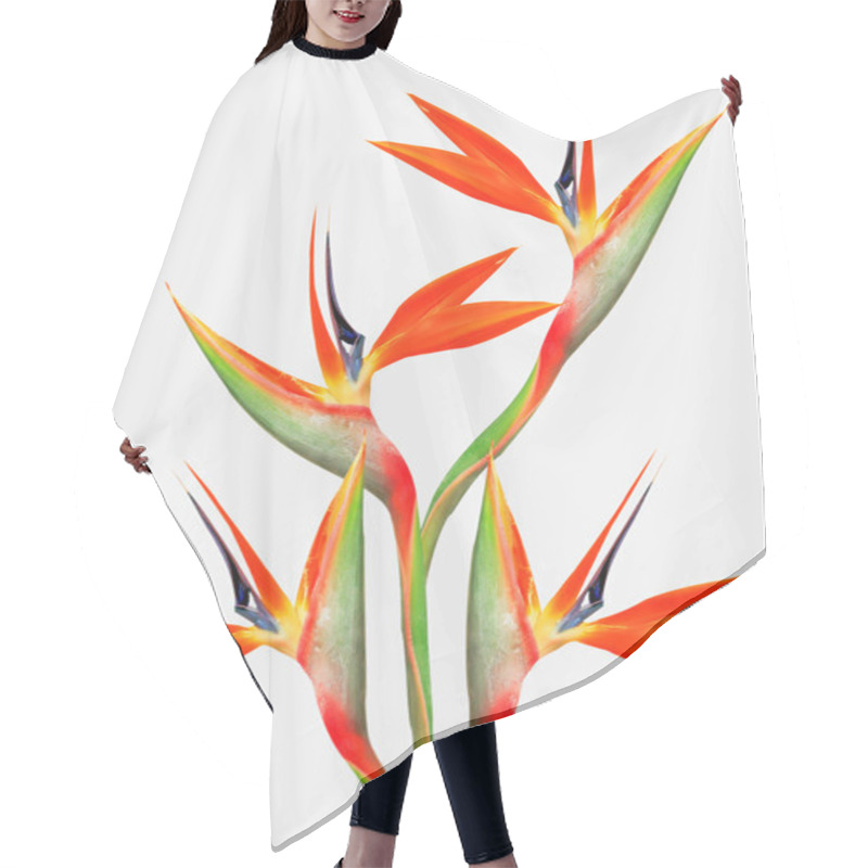 Personality  Beautiful Bright Bird Of Paradise Bouquet Hair Cutting Cape