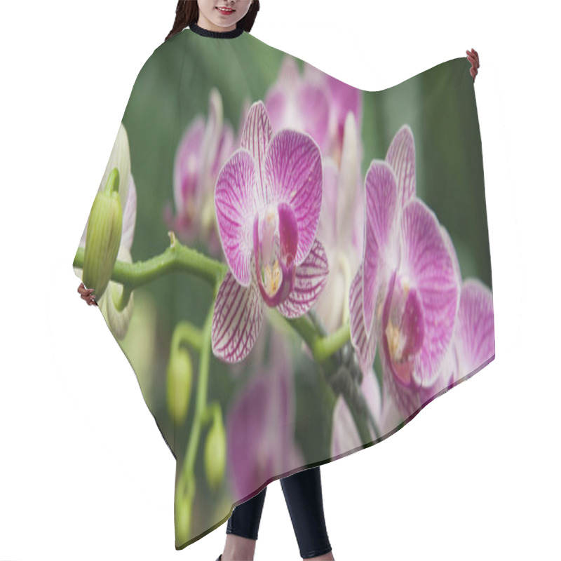 Personality  Bud To Bloom Hair Cutting Cape