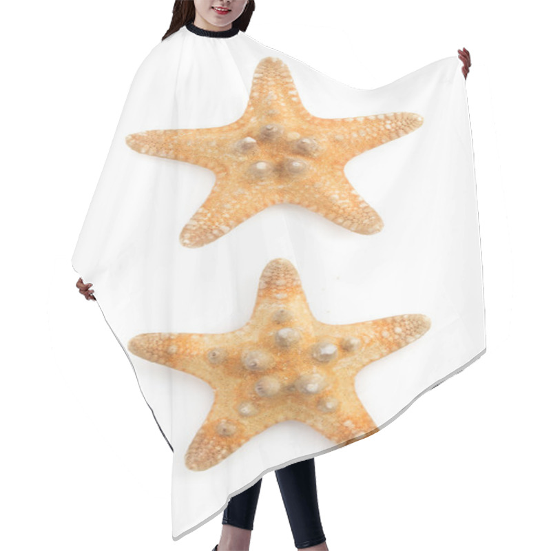 Personality  Seashells  On White Background Hair Cutting Cape